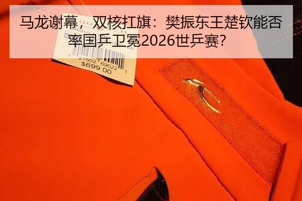 马龙谢幕，双核扛旗：樊振东王楚钦能否率国乒卫冕2026世乒赛？